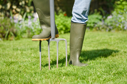 When’s the Best Time for Lawn Aeration? Thumbnail